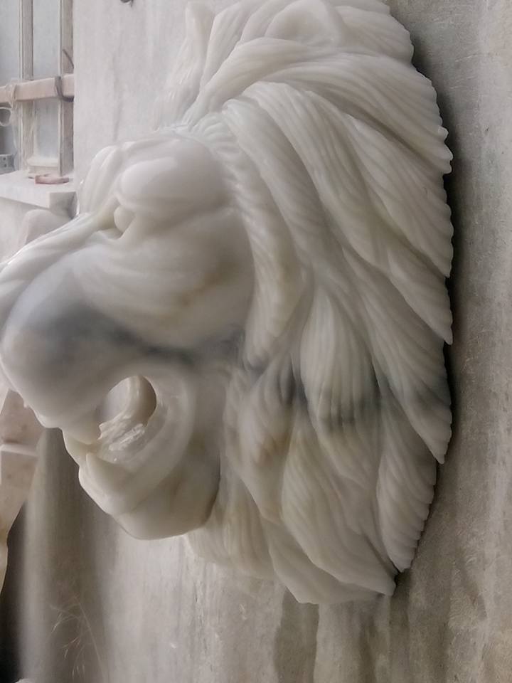 Aslan başı Aslan ağzı (lion)-206